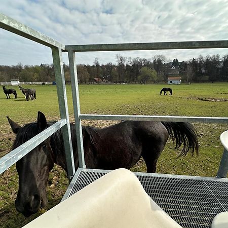 Glamping - Stylova Maringotka V Srdci Ladova Kraje, Pobliz Hlavniho Mesta Prahy Stribrna Skalice Екстериор снимка