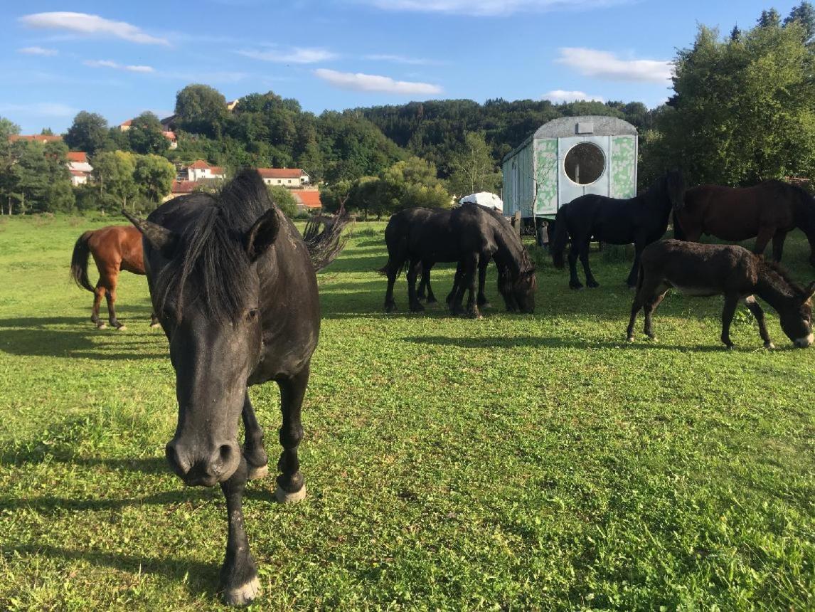 Glamping - Stylova Maringotka V Srdci Ladova Kraje, Pobliz Hlavniho Mesta Prahy Stribrna Skalice Екстериор снимка