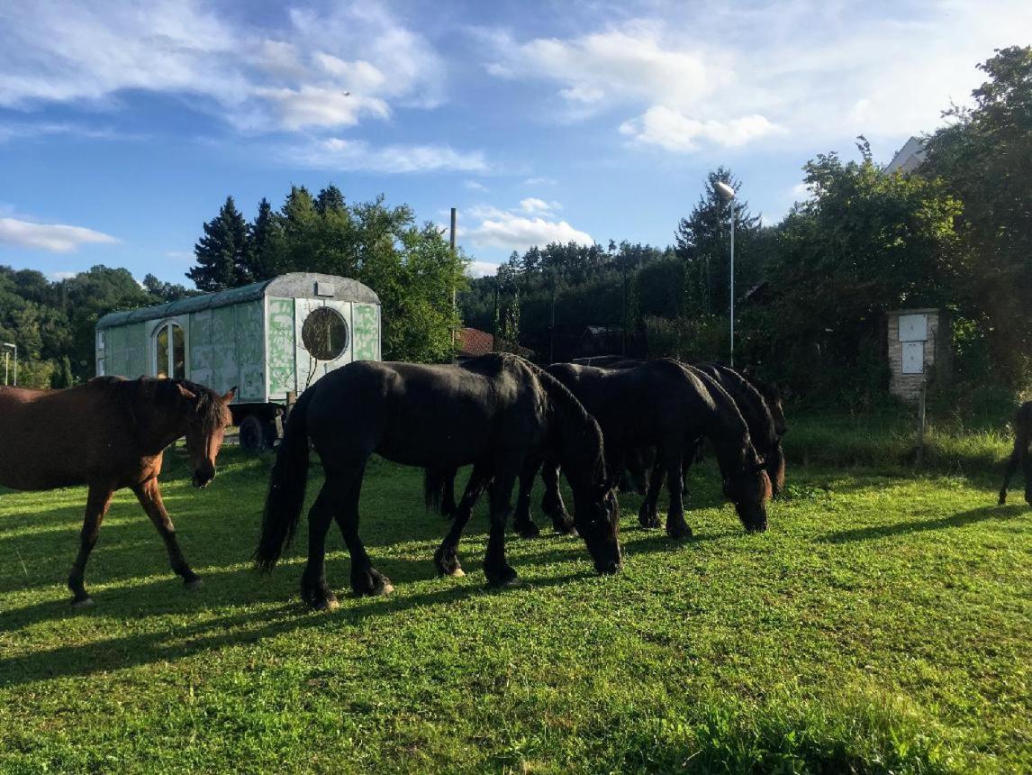 Glamping - Stylova Maringotka V Srdci Ladova Kraje, Pobliz Hlavniho Mesta Prahy Stribrna Skalice Екстериор снимка