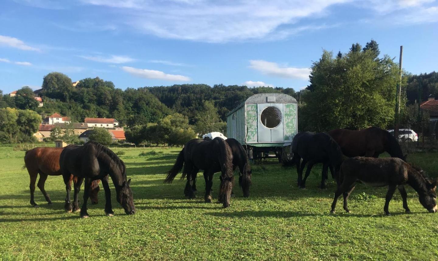 Glamping - Stylova Maringotka V Srdci Ladova Kraje, Pobliz Hlavniho Mesta Prahy Stribrna Skalice Екстериор снимка